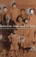 bokomslag Between Arab and White