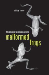 bokomslag Malformed Frogs