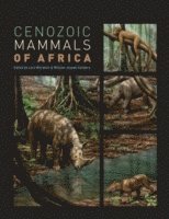 bokomslag Cenozoic Mammals of Africa
