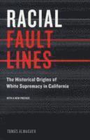 Racial Fault Lines 1