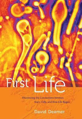 David Deamer - First Life, Inbunden