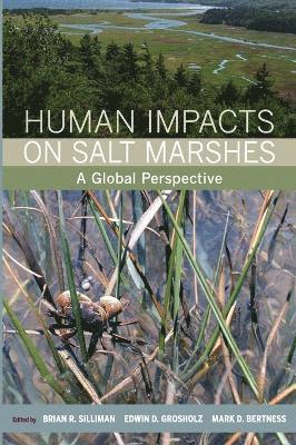 bokomslag Human Impacts on Salt Marshes