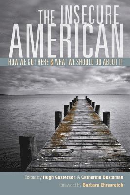 Hugh Gusterson, Catherine Besteman - Insecure American, Häftad