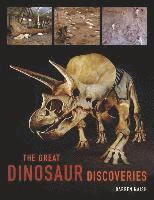 bokomslag The Great Dinosaur Discoveries
