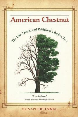 Susan Freinkel - American Chestnut, Häftad