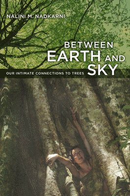 Between Earth and Sky 1