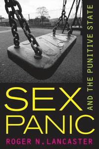 bokomslag Sex Panic and the Punitive State