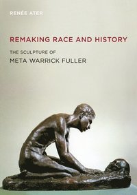 bokomslag Remaking Race and History