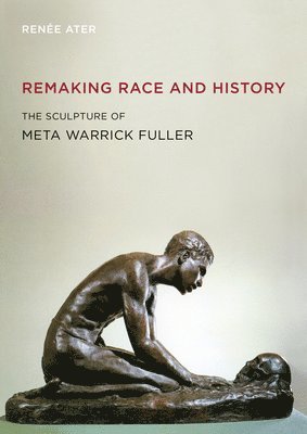 Remaking Race and History 1