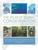 Jonathan Hoekstra, Jennifer L. Molnar, Michael Jennings, Carmen Revenga, Mark D. Spalding, Timothy M. Boucher, James C. Robertson, Thomas J. Heibel, Katherine Ellison - Atlas of Global Conservation, Inbunden
