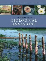 Daniel Simberloff, Marcel Rejmanek - Encyclopedia of Biological Invasions, Inbunden