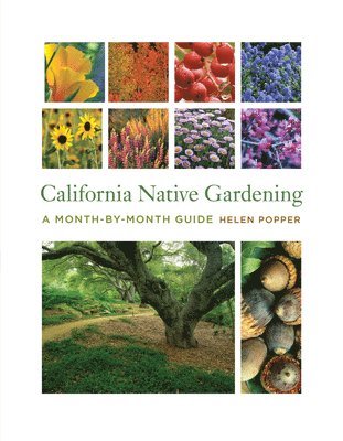 California Native Gardening 1