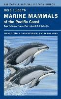 bokomslag Field Guide to Marine Mammals of the Pacific Coast