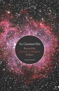 bokomslag The Constant Fire