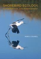 bokomslag Shorebird Ecology, Conservation, and Management