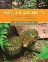 bokomslag Reptile Biodiversity