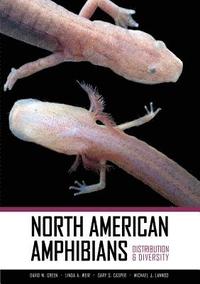 bokomslag North American Amphibians