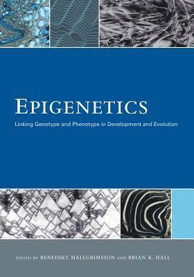 Epigenetics 1