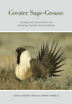 bokomslag Greater Sage-Grouse