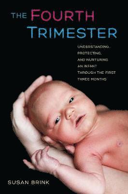 bokomslag Fourth Trimester