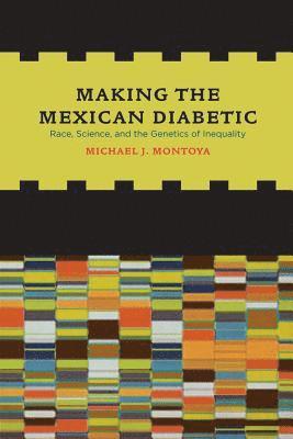 bokomslag Making the Mexican Diabetic