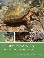 bokomslag The Turtles of Mexico