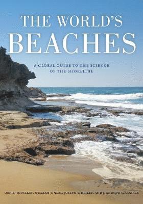 bokomslag The World's Beaches