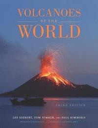 bokomslag Volcanoes of the World