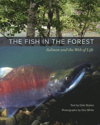 Dale Stokes - Stokes, D: Fish in the Forest, Inbunden