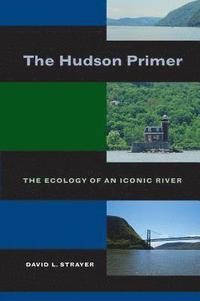 bokomslag The Hudson Primer