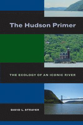 David L. Strayer - Hudson Primer, Häftad