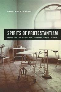bokomslag Spirits of Protestantism