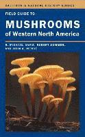 bokomslag Field Guide to Mushrooms of Western North America