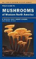 Mike Davis, Robert Sommer, John Menge - Field Guide to Mushrooms of Western North America, Häftad