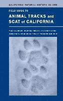 bokomslag Field Guide to Animal Tracks and Scat of California