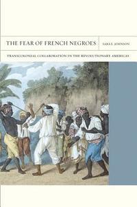 bokomslag The Fear of French Negroes