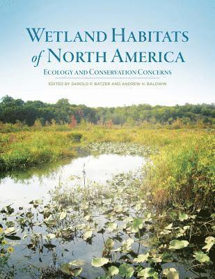 Darold P. Batzer, Andrew H. Baldwin, Dr. Darold P. Batzer - Wetland Habitats of North America, Inbunden