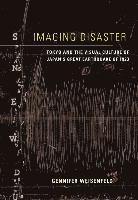 bokomslag Imaging Disaster