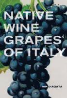 bokomslag Native Wine Grapes of Italy