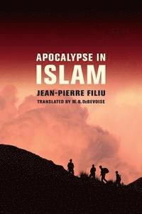 bokomslag Apocalypse in Islam