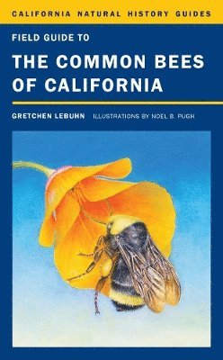 Gretchen LeBuhn, Gretchen Lebuhn - Field Guide to the Common Bees of California, Inbunden