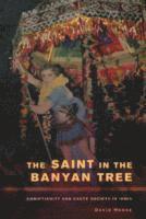 David Mosse - Saint in the Banyan Tree, Häftad