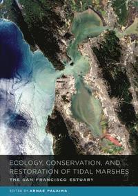 bokomslag Ecology, Conservation, and Restoration of Tidal Marshes