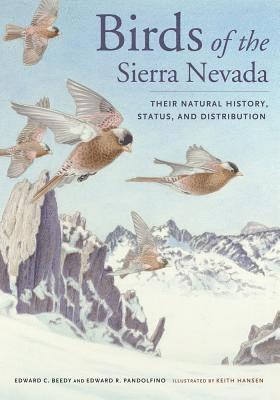Ted Beedy, Ed Pandolfino - Birds of the Sierra Nevada, Inbunden