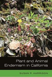 bokomslag Plant and Animal Endemism in California