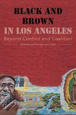 Josh Kun, Laura Pulido - Black and Brown in Los Angeles, Häftad