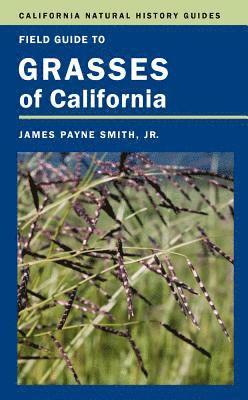 bokomslag Field Guide to Grasses of California
