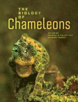 bokomslag The Biology of Chameleons