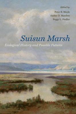 Suisun Marsh 1