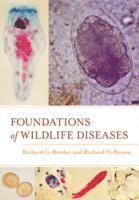 bokomslag Foundations of Wildlife Diseases